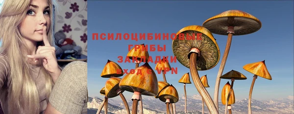 скорость Верхний Тагил